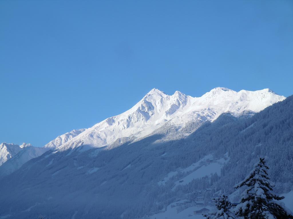 Appartement Stubaital *